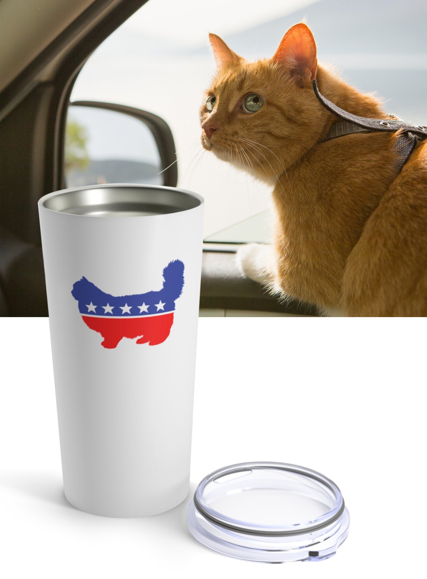 Cat Party Tumblers