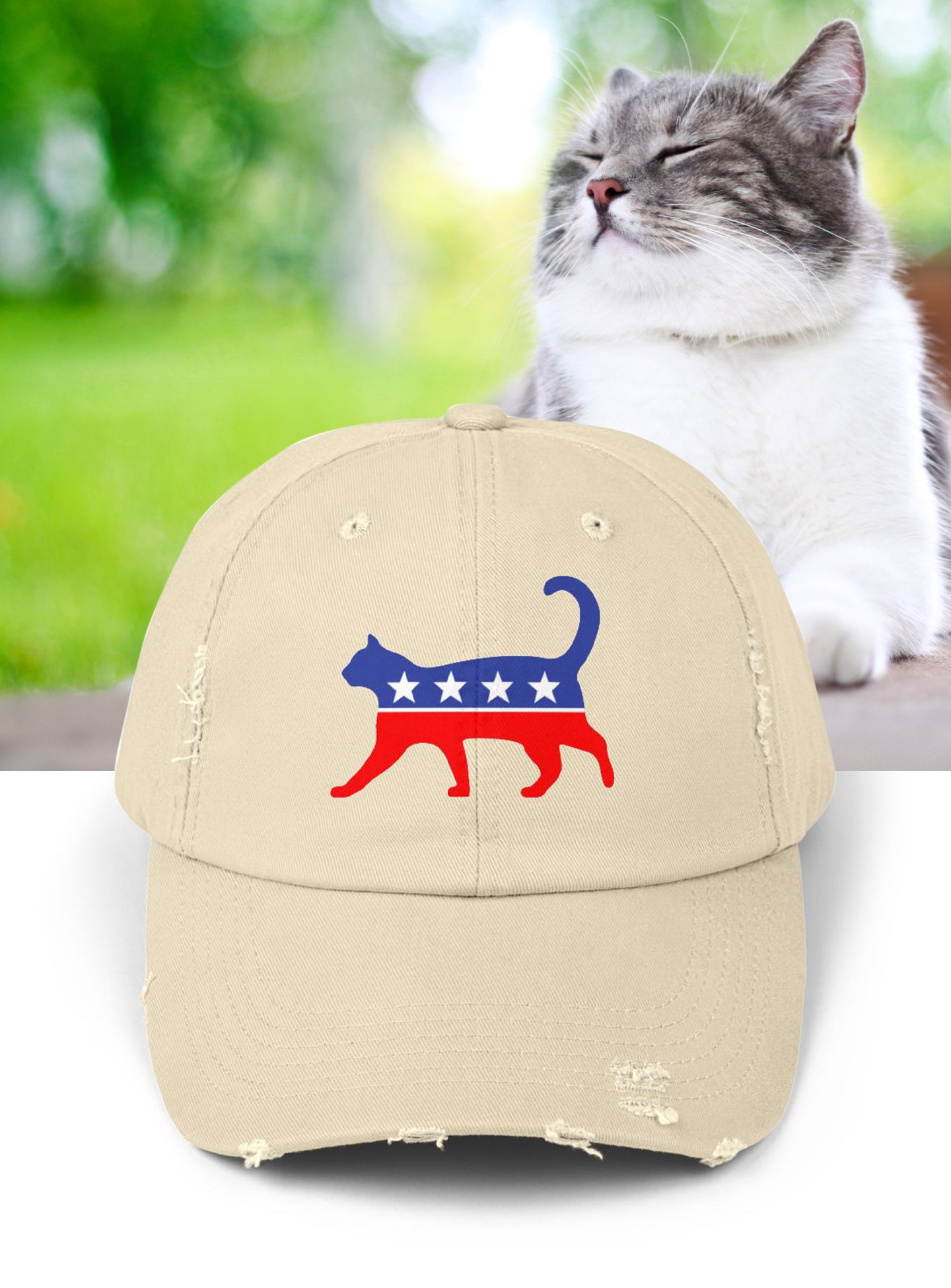 Cat Party Caps