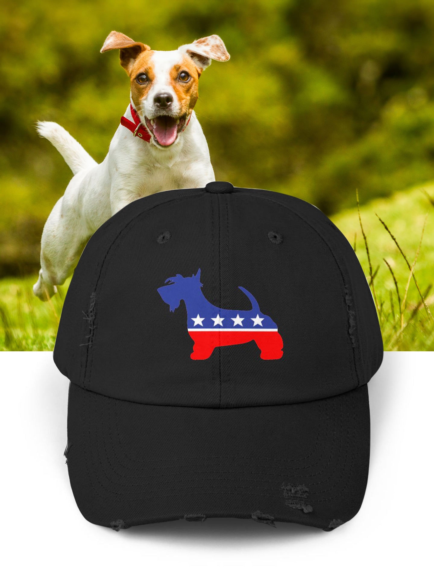 Dog Party Caps